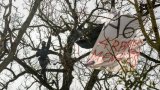 Entrave au chantier de l'A69: 16 opposants condamnés à des amendes avec sursis