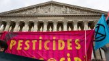 Interdire les importations de produits traités à l'acétamipride: une option compliquée