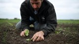 Chaleur, sécheresse: le printemps 2025 bat des records au Royaume-Uni