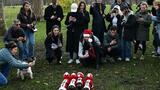 A Londres, un défilé canin vole la vedette au père Noël