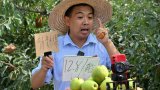 En Chine, des néo-paysans devenus influenceurs pour promouvoir le terroir