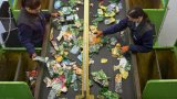 Plastique, aluminium: vers la consigne des bouteilles et canettes en France