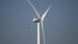 L'Afrique du Sud s'efforce de protéger les oiseaux des éoliennes