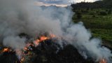 Qui met le feu à l'Amazonie ?