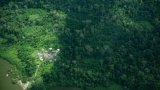 Amazonie brésilienne: remonter la trace d'indigènes isolés pour protéger la forêt
