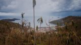 Six mois après Chido, la végétation repousse fragilement à Mayotte