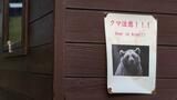 C'est comme ça que je vais mourir: le Japon terrorisé par des attaques d'ours de plus en plus nombreuses