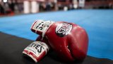 La boxe pourrait disparaître au Japon si elle ne réagit pas après la mort de deux boxeurs, selon (…)