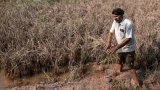 Le Pendjab, grenier à blé de l'Inde, dévasté par les inondations