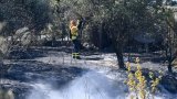 Sud de l'Espagne: l'incendie de Tarifa stabilisé, retour des vacanciers évacués