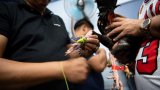 Aux Philippines: le marché du combat de coqs en ligne continue de prospérer, malgré son interdiction