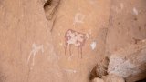 Au Tchad, sur les traces du Sahara vert de l'Ennedi