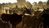 Vols de bétail meurtriers: l'armée va désarmer de force les combattants au Soudan du Sud