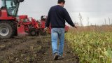 Pesticides: la bataille tactique s'ouvre à l'Assemblée sur la loi Duplomb