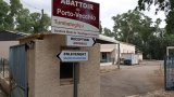 Maltraitance animale: plainte de L214 contre l'abattoir de Porto-Vecchio