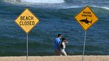 Un surfeur blessé par un requin à Sydney, la 3ème attaque en deux jours