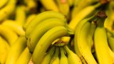 Les producteurs de bananes antillais alertent sur une crise existentielle de la filière