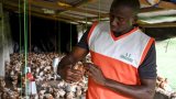 Loin d'Abidjan, des jeunes choisissent d'entreprendre dans l'ouest rural de la Côte d'Ivoire