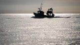 Océans: l'association Bloom attaque l'Etat pour tenter d'interdire le chalutage de fond en France
