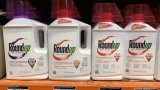 Glyphosate: des ONG s'inquiètent après une étude évoquant des risques de cancer