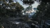 Narbonne: 2.000 hectares parcourus par l'incendie, les habitants hébétés