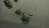 Des grands-parents rescapés des inondations au Mexique, symbole d'espoir
