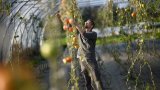 A la ferme, des détenus en fin de peine se réinsèrent pas à pas