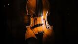 Un rare violon Guarneri vendu 2,3 millions d'euros à Paris