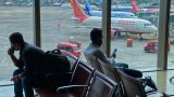 Un Indien arrêté avec une centaine d'animaux sauvages à l'aéroport de Bombay