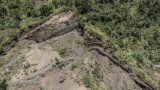 A Anjouan, aux Comores, un sursaut pour sauver la forêt en perdition