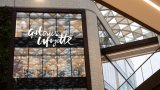 Les Galeries Lafayette nomment un nouveau directeur général, Arthur Lemoine