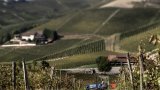 Italie: le mousseux d'Asti réduit sa production face aux tempêtes des marchés