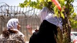 Comme un rêve: sur le plateau du Golan, des retrouvailles entre druzes