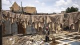 Plébiscité par les grandes maisons de luxe, le cuir Made in Nigeria se trace un avenir local