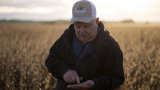 Les producteurs américains de soja en première ligne de la guerre commerciale avec la Chine
