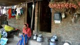En Inde, vague de suicides d'agriculteurs victimes du changement climatique
