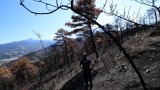 Après des incendies monstres, l'Albanie doit repenser l'avenir de ses forêts