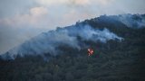 À Fontainebleau, une IA sobre en énergie s'entraîne à détecter les feux de forêt