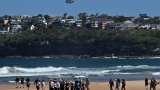 Un surfeur tué par un grand requin en Australie