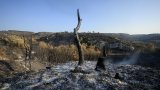 Le feu de l'Aude est sous contrôle mais pas encore éteint