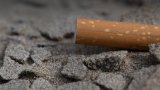 Fumer à la plage, au parc ou sous un abribus interdit à partir de dimanche, selon un décret au JO