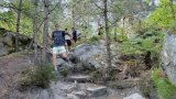 En forêt de Fontainebleau, le sentier des 25 bosses victime de son succès