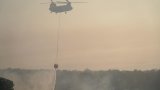 Chypre: deux morts dans un feu de forêt attisé par la chaleur