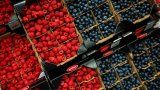 Fruits origine France frauduleux: un grossiste condamné pour tromperie