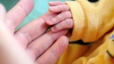 Le gouvernement réforme l'accueil des bébés dans l'Aide sociale à l'enfance