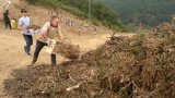 La vague de chaleur extrême s'éloigne, mais l'Espagne n'en a pas fini avec les incendies