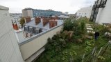 Végétalisation, rooftops branchés: Paris à la conquête de ses toits-terrasses