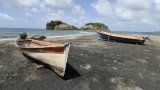Aux Antilles, la pêche mise à mal par la pollution au chlordécone