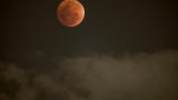 Une Lune de sang observée durant une éclipse totale de Lune