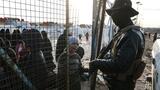 Situation volatile dans le plus grand camp de familles de jihadistes en Syrie, selon l'ONU